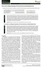 Notes on the seedling morphology of Pouteria franciscana Baehni (Sapotaceae)