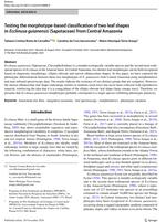 Testing the morphotype-based classification of two leaf shapes in Ecclinusa guianensis (Sapotaceae) from Central Amazonia