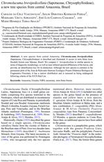 Chromolocuma brevipedicellata (Sapotaceae, Chrysophylloideae), a new tree species from central Amazonia, Brazil